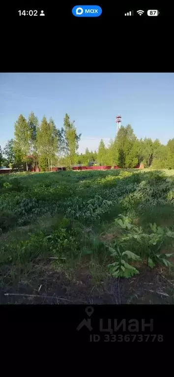 Участок в Московская область, Клин городской округ, д. Давыдково 397 ... - Фото 1