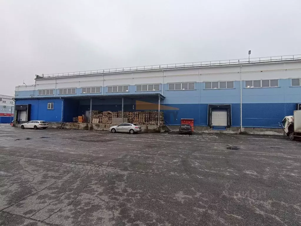 Склад в Московская область, Домодедово Востряково мкр, Триколор тер., ... - Фото 1