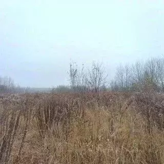 Участок в Брянская область, Брянский район, пос. Мичуринский  (30.0 ... - Фото 1