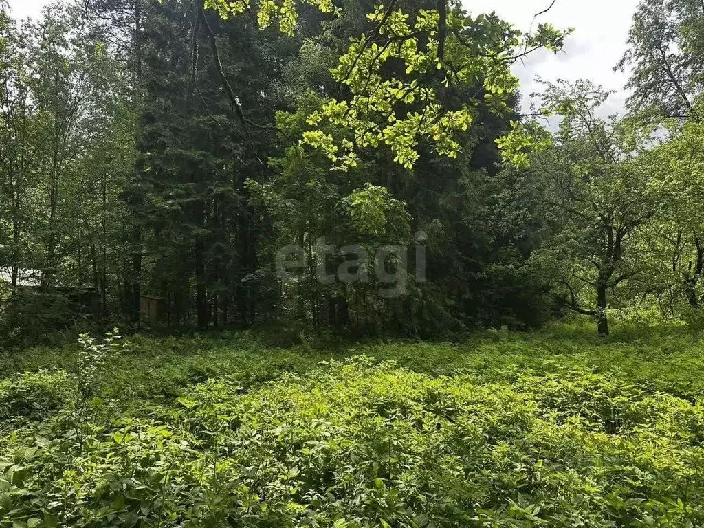 Участок в Московская область, Пушкинский городской округ, ... - Фото 2