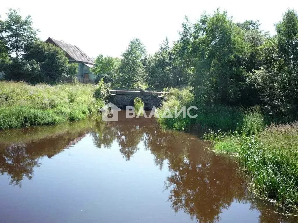 Участок в деревня Нижняя Шальдиха, улица Староладожский канал (14.9 м) - Фото 2