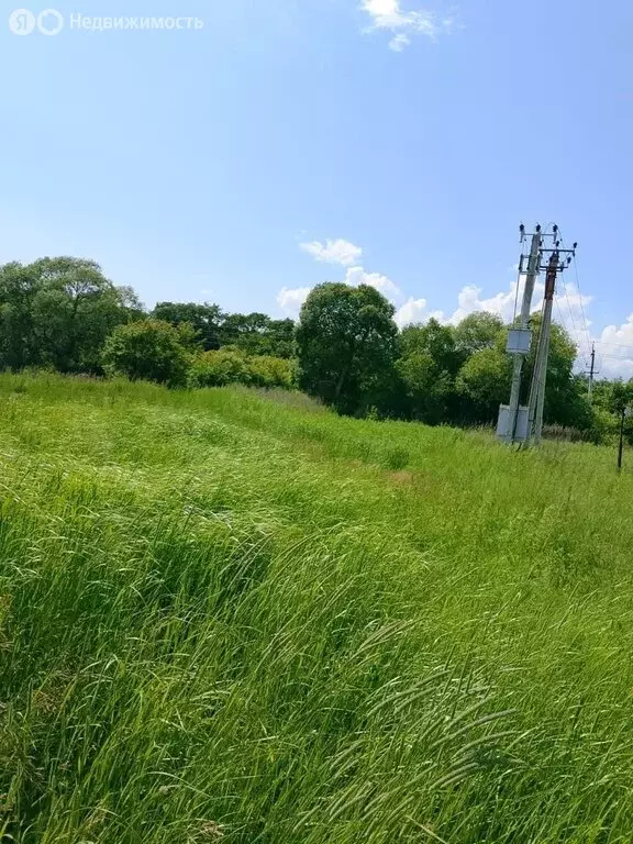 Участок в село Новицкое, Нагорная улица (9 м) - Фото 2