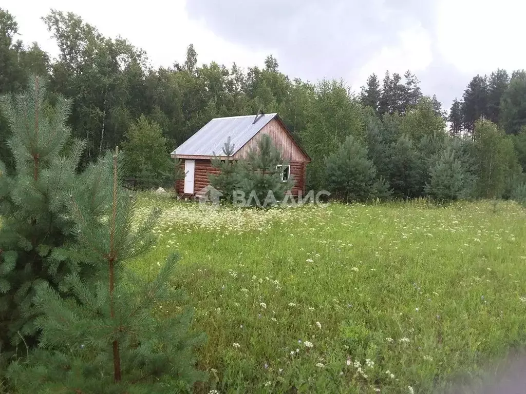 Дом в Владимирская область, Гороховецкий муниципальный округ, д. ... - Фото 1