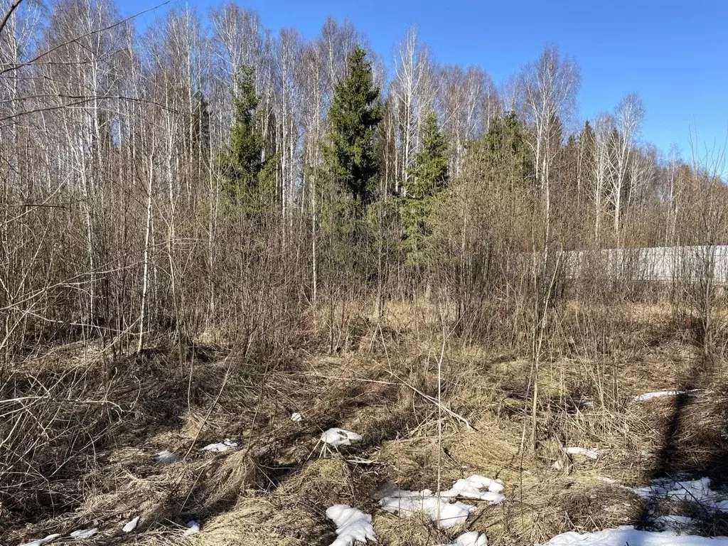 Участок в Свердловская область, Верхняя Пышма городской округ, пос. ... - Фото 1