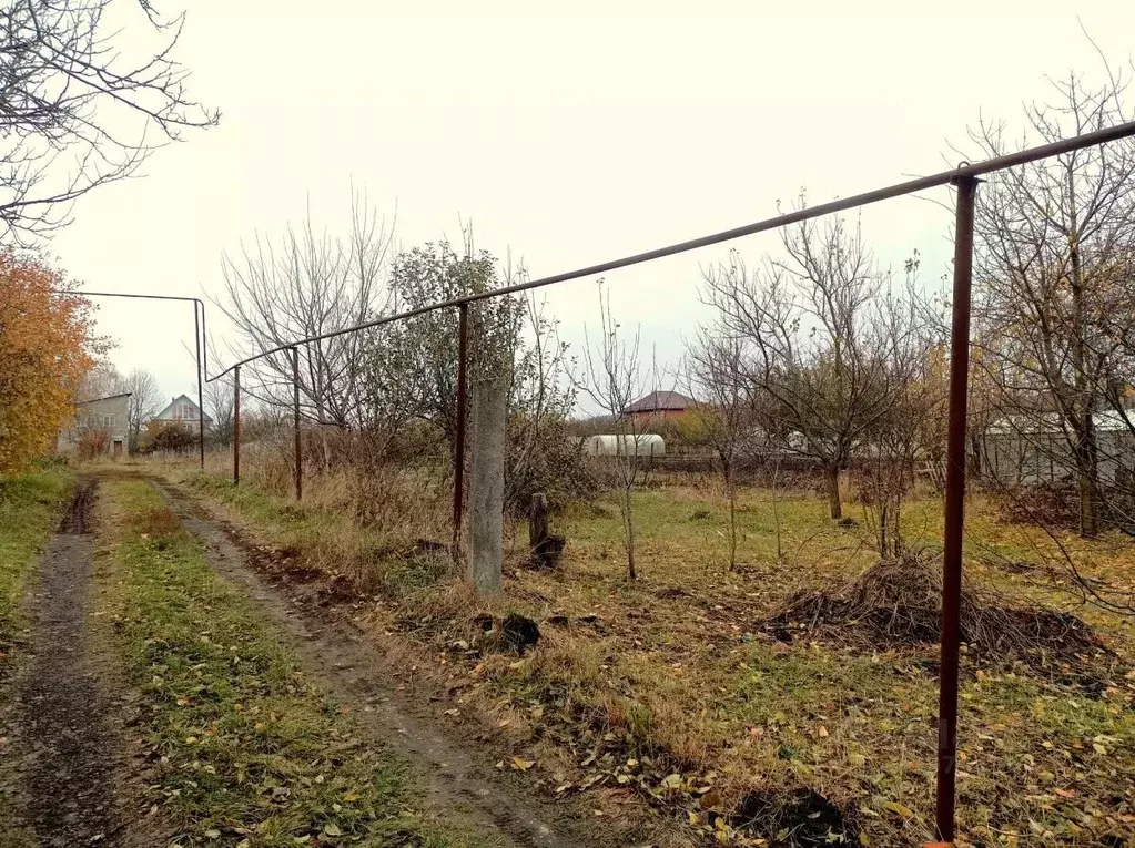 Участок в Курская область, Курск Поповка мкр, ул. Олимпийская, 2А ... - Фото 0