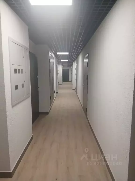 Студия Ленинградская область, Сертолово Всеволожский район, ул. ... - Фото 2