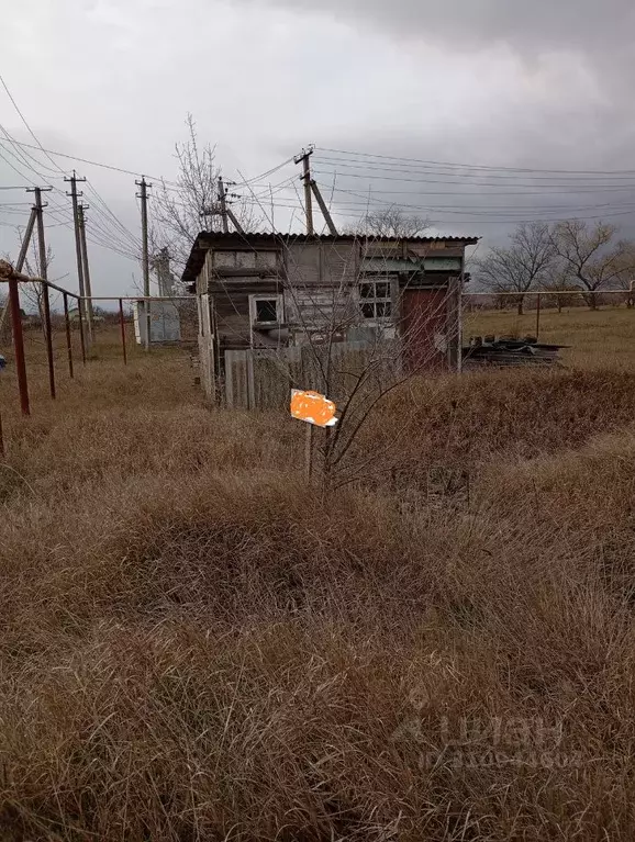 Участок в Крым, Ленинский район, с. Войково ул. Интернациональная, 74 ... - Фото 0