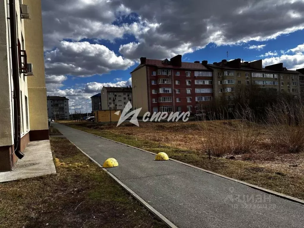 Помещение свободного назначения в Тюменская область, Тюмень ул. Мира, ... - Фото 2