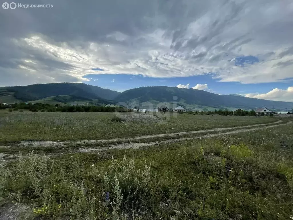 Участок в село Усть-Кокса, улица Энтузиастов (14.9 м) - Фото 1