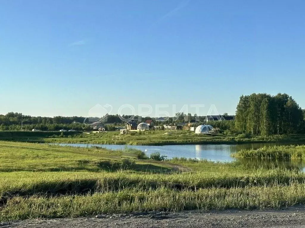 Участок в Тюменская область, Тюменский район, Новокаменский кп ул. ... - Фото 1