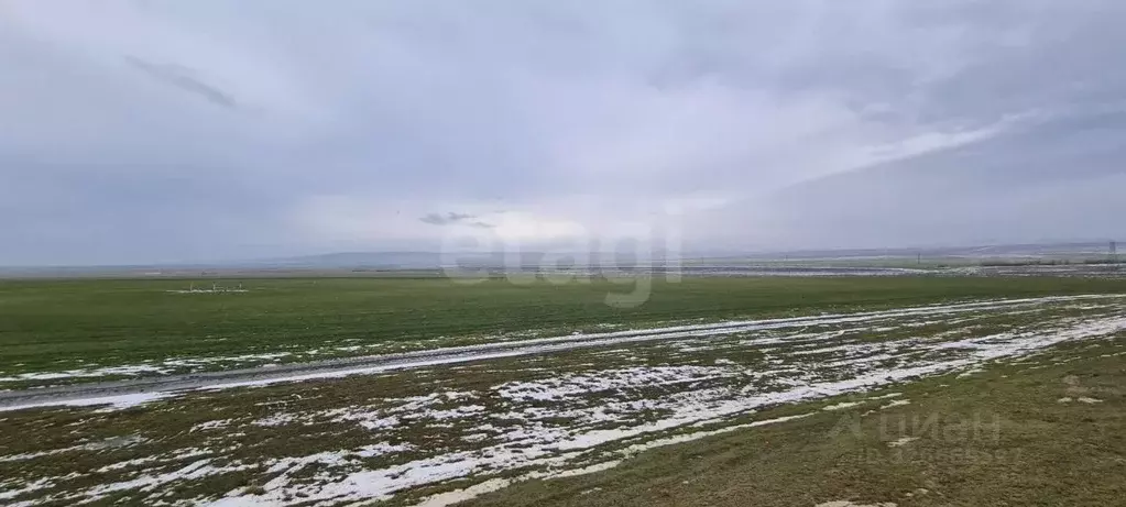 Участок в Крым, Кировский район, с. Владиславовка ул. Виноградная ... - Фото 1