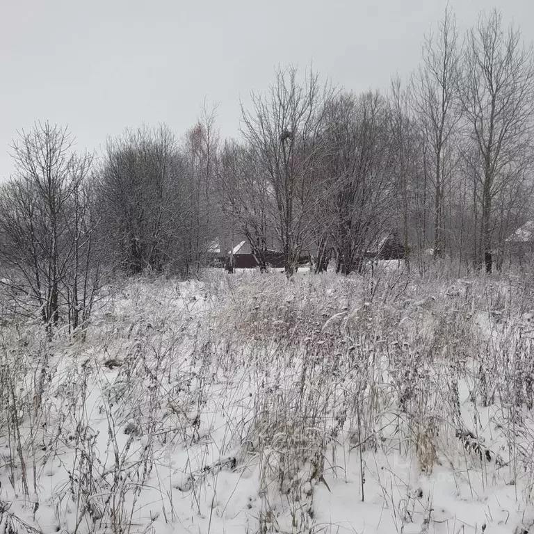 Участок в Московская область, Ступино городской округ, с. Куртино  ... - Фото 0