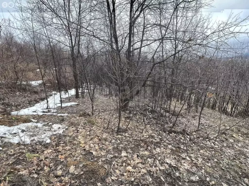 Участок в Республика Алтай, Горно-Алтайск (6.34 м) - Фото 0