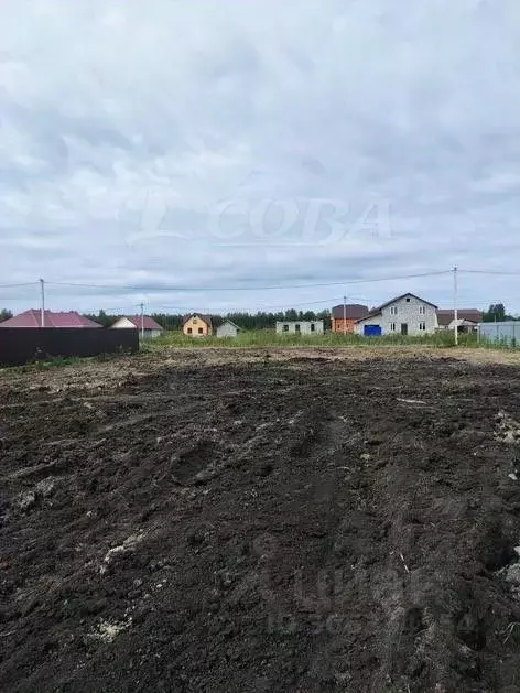 Участок в Тюменская область, Тюменский район, с. Червишево ул. ... - Фото 1