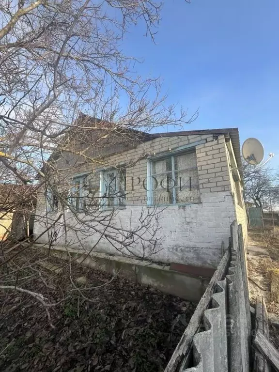 Дом в Белгородская область, Новооскольский муниципальный округ, с. ... - Фото 1