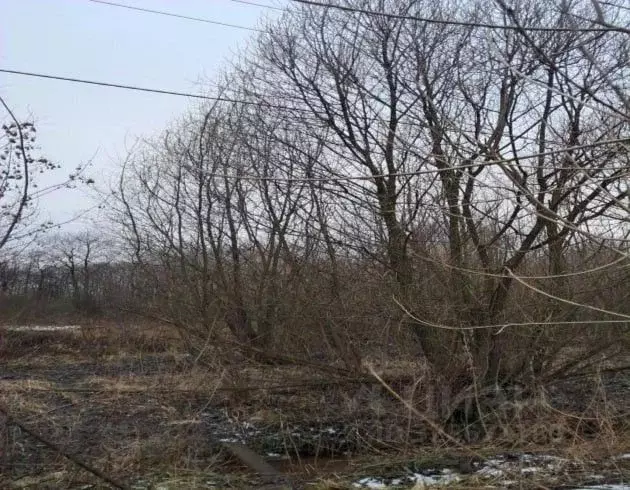 Участок в Московская область, Лосино-Петровский  (14.82 сот.) - Фото 1