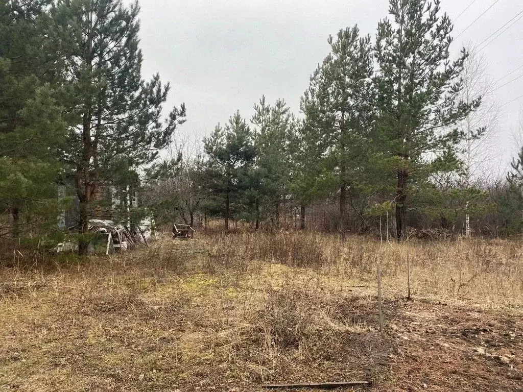 Участок в Воронежская область, Верхнехавский район, Парижскокоммунское ... - Фото 2