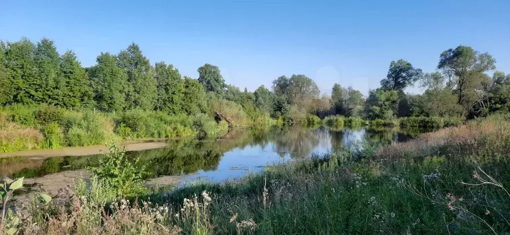 Купить Земельный Участок В Тульской Области