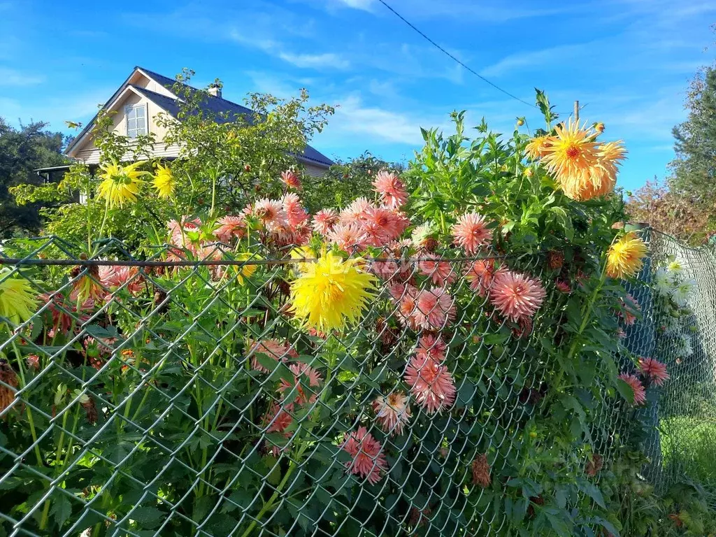 Дом в Карелия, Питкярантский муниципальный округ, пос. Салми  (120 м) - Фото 0