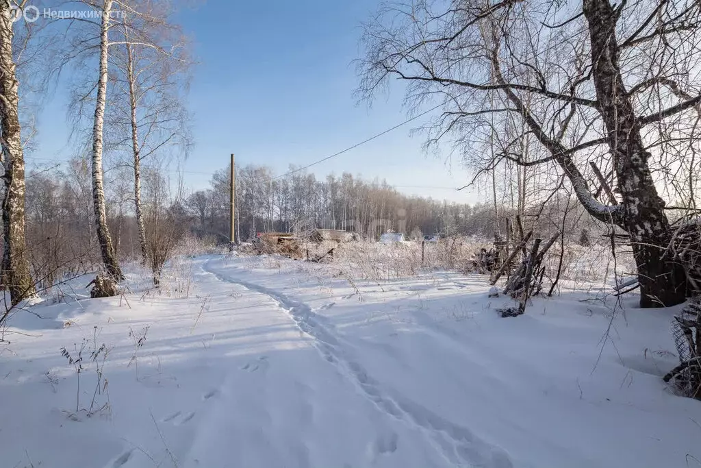 Участок в Барышевский сельсовет, садовое товарищество Генетик (6.4 м) - Фото 1