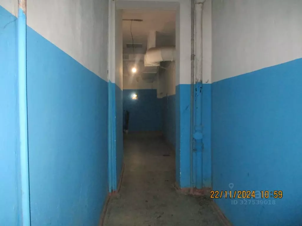 Помещение свободного назначения в Новосибирская область, Новосибирск ... - Фото 2