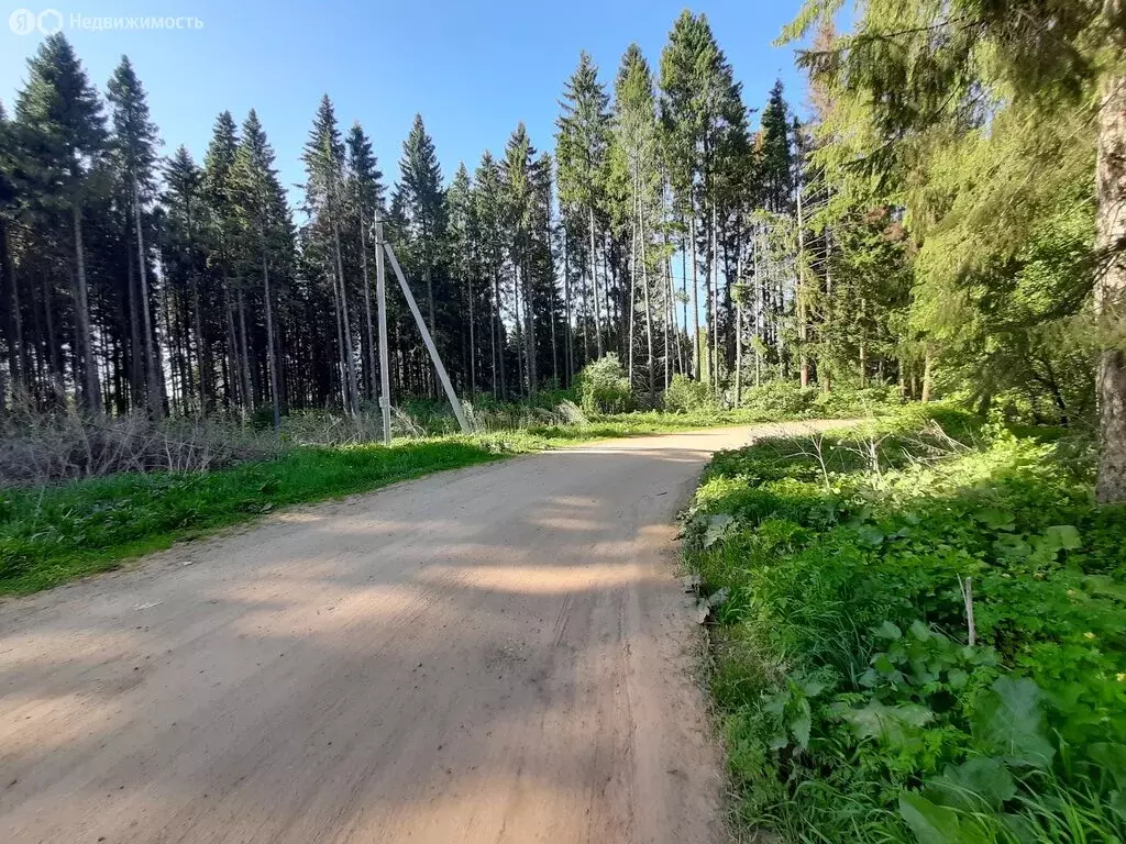 Участок в Нытва, улица Кирпичного завода, 35 (11.46 м) - Фото 1