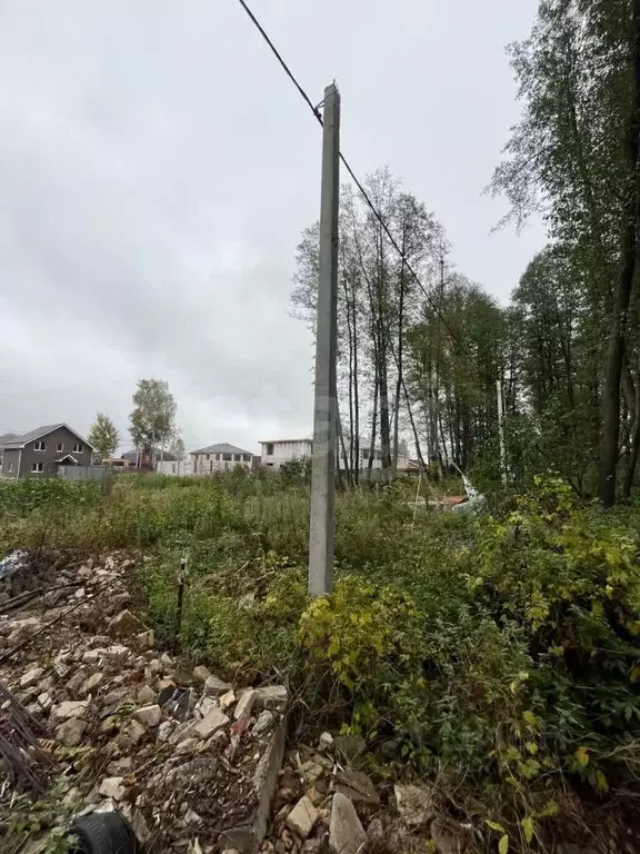 Участок в Московская область, Щелково городской округ, Екатерининская ... - Фото 2