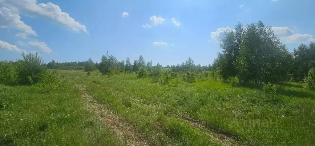 Участок в Иркутская область, Иркутский муниципальный округ, д. ... - Фото 2