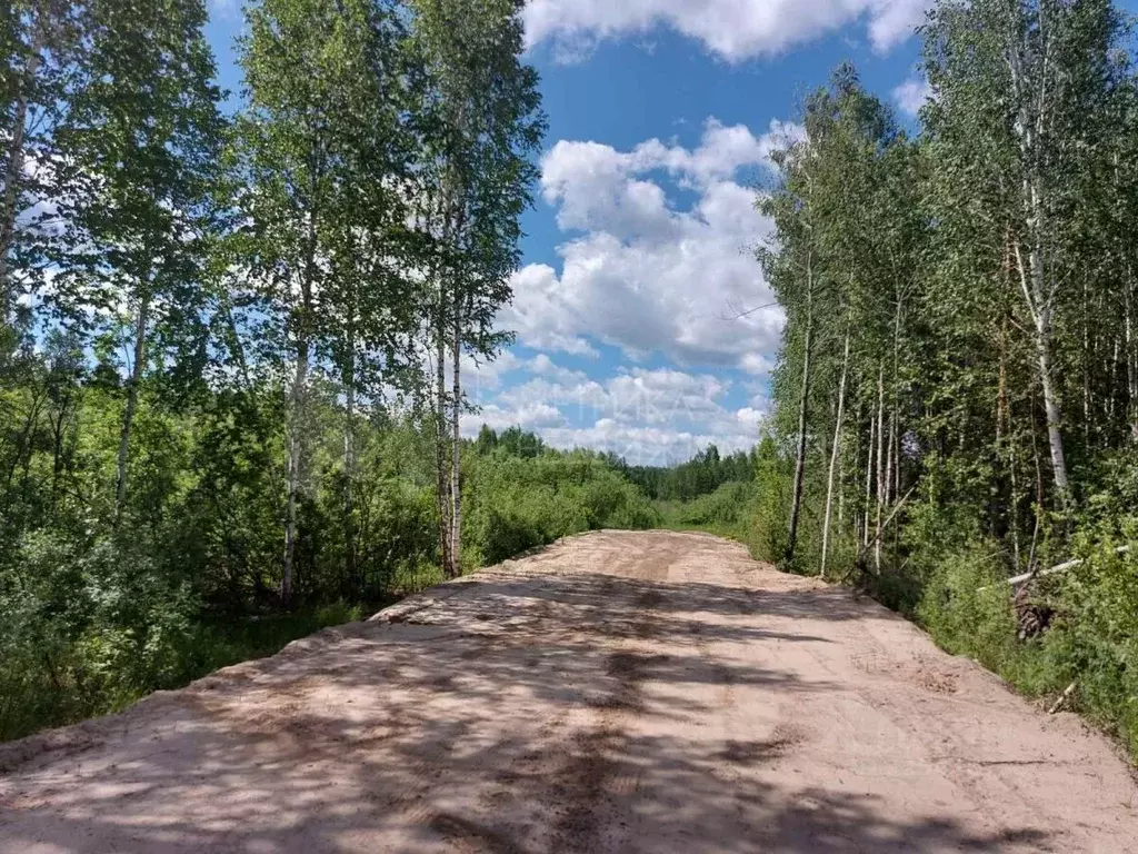 Участок в Тюменская область, Нижнетавдинский муниципальный округ, ... - Фото 1