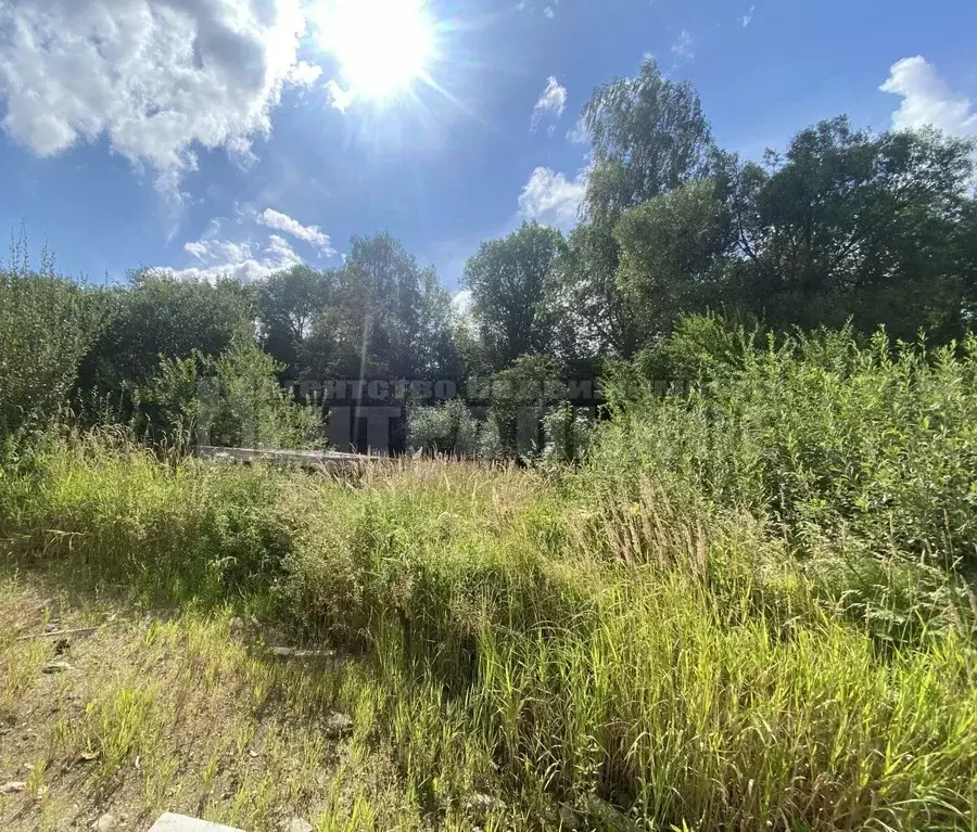Участок в Смоленская область, Смоленск пос. Вишенки,  (8.0 сот.) - Фото 2
