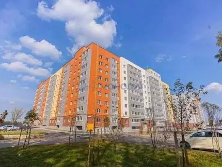 3-к кв. Нижегородская область, Нижний Новгород Вязниковская ул., 6 ... - Фото 2