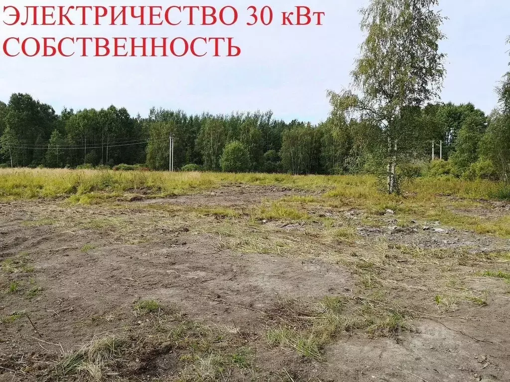 Участок в Ленинградская область, Выборгский район, Советское городское ... - Фото 1