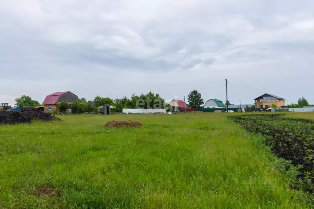 Участок в Тюменская область, Тюменский муниципальный округ, ... - Фото 1
