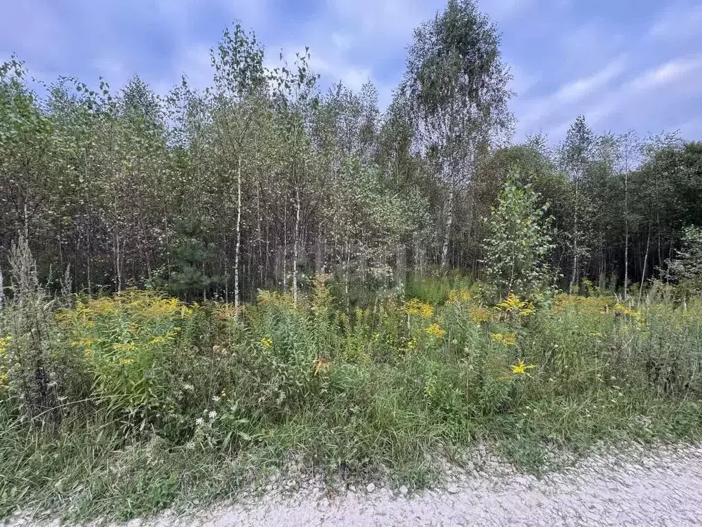 Участок в Калужская область, Тарусский муниципальный округ, с. ... - Фото 2