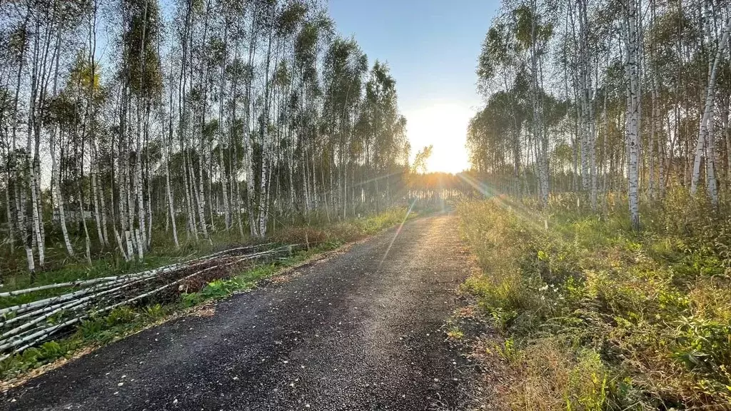 Участок в Московская область, Дмитровский городской округ, д. ... - Фото 0