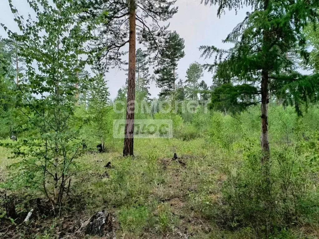 Участок 8 сот. (ИЖС) - Фото 0