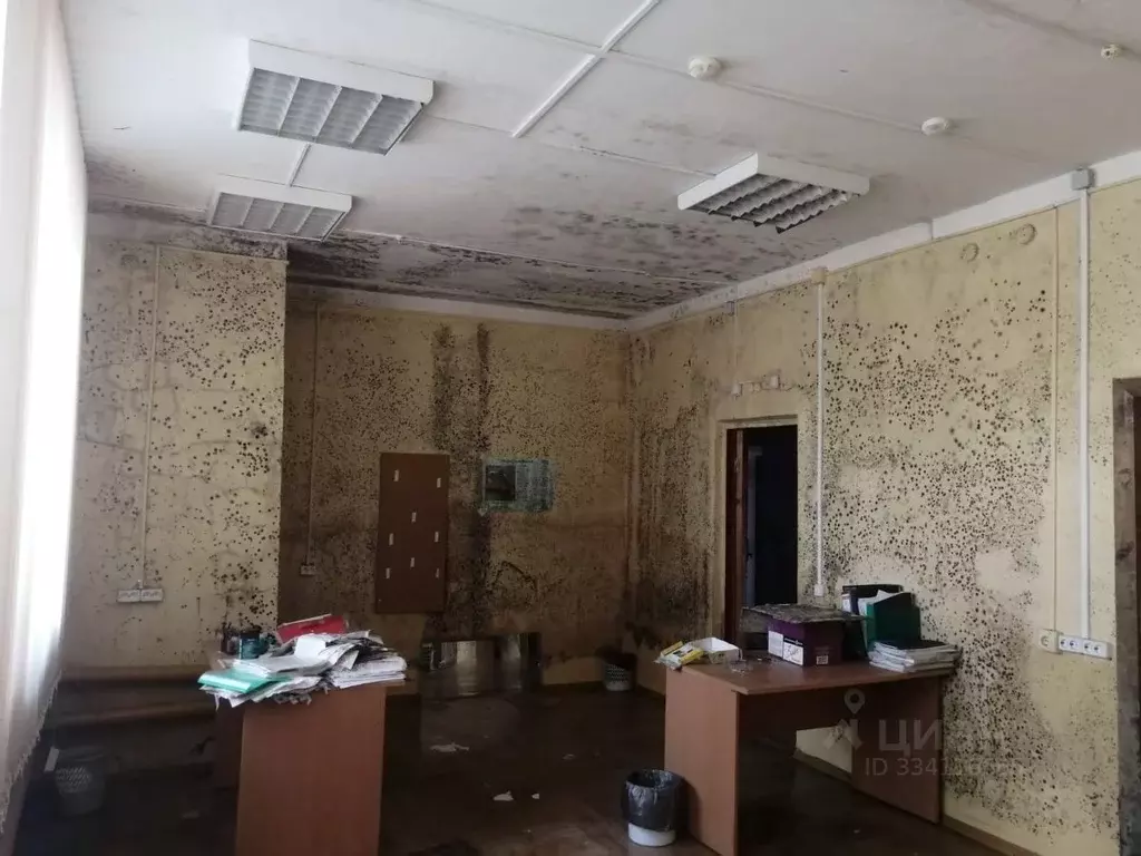 Помещение свободного назначения в Рязанская область, Спас-Клепики г. ... - Фото 2