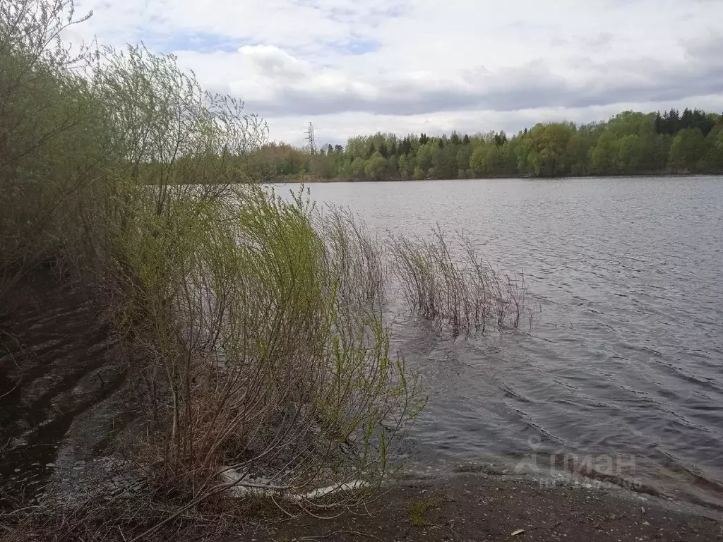 Участок в Новгородская область, Новгородский район, Бронницкое с/пос, ... - Фото 1