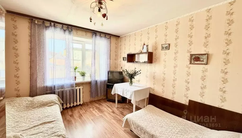 Комната Владимирская область, Покров ул. Фейгина, 3Ак2 (18.0 м) - Фото 2