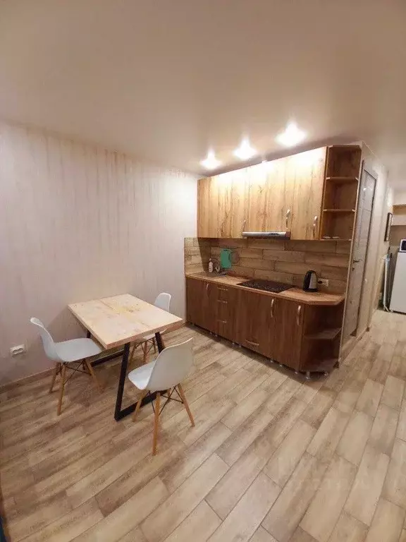 Студия Краснодарский край, Геленджик Туристическая ул., 6к1 (28.3 м) - Фото 1