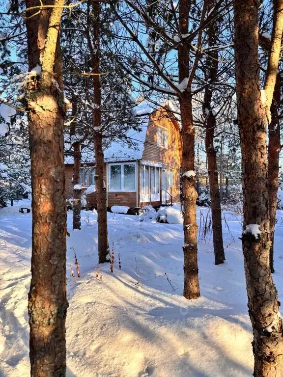 Дом в Ленинградская область, Выборгский район, Рощинское городское ... - Фото 1
