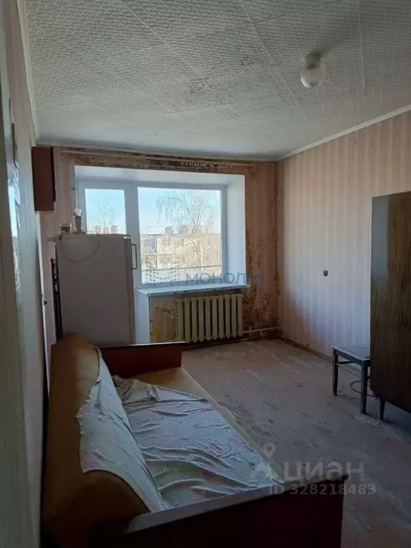 1-к кв. Нижегородская область, Володарский муниципальный округ, ... - Фото 2