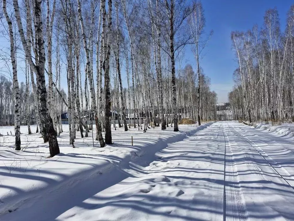 Участок в Иркутская область, Иркутский муниципальный округ, пос. Новая ... - Фото 2