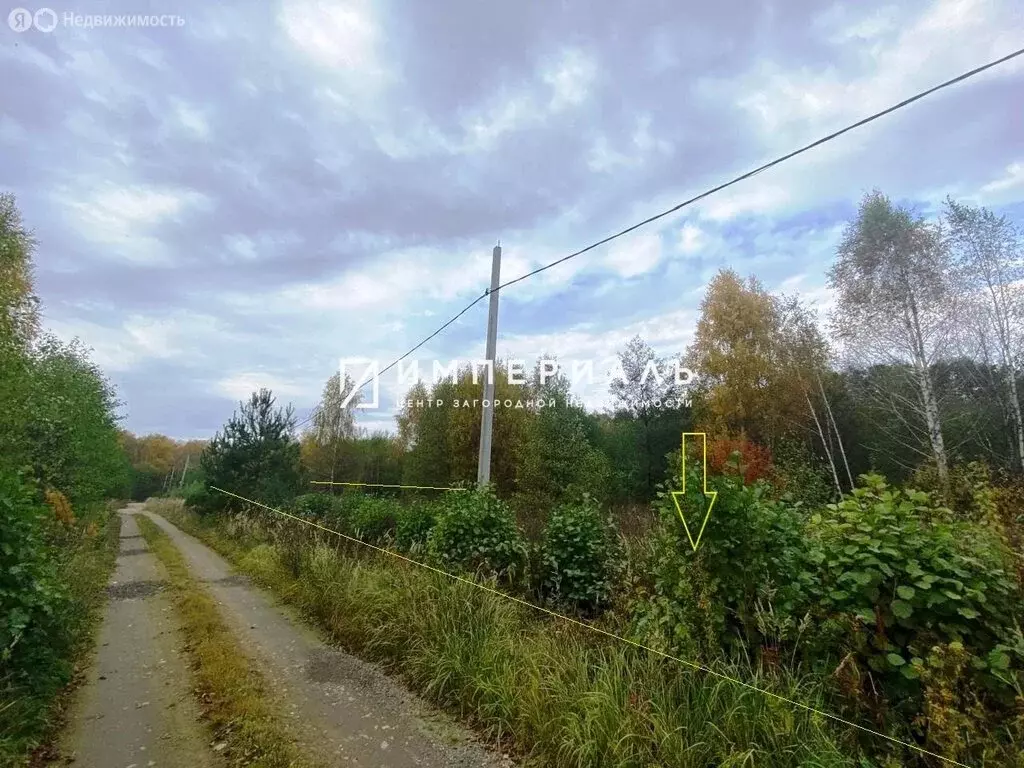 Участок в Калужская область, Жуковский муниципальный округ, сельское ... - Фото 2
