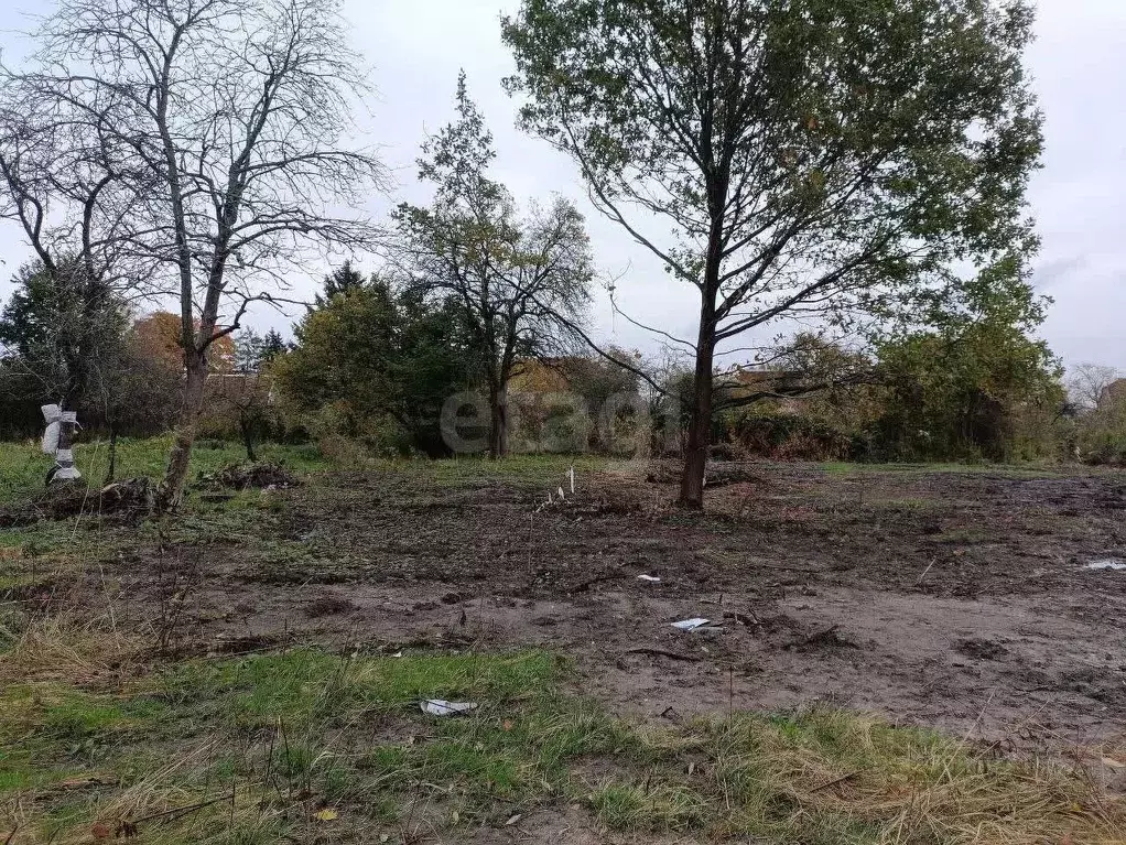 Участок в Калининградская область, Калининград  (7.3 сот.) - Фото 2