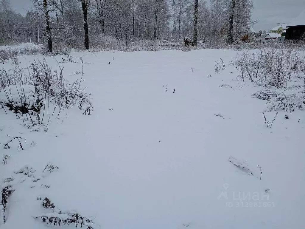 Участок в Московская область, Орехово-Зуевский городской округ, д. ... - Фото 0