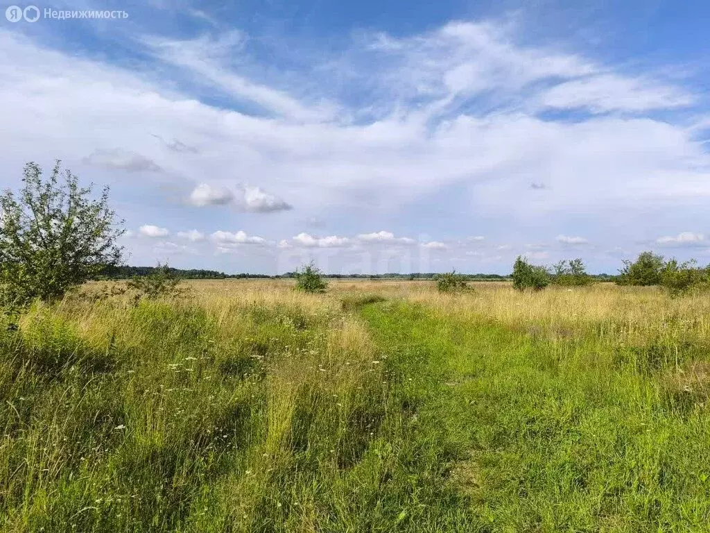 Участок в посёлок Луговое, Яблочная улица (8 м) - Фото 1