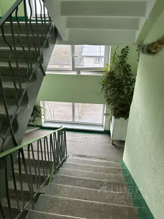 1-к кв. Московская область, Электросталь городской округ, пос. ... - Фото 1