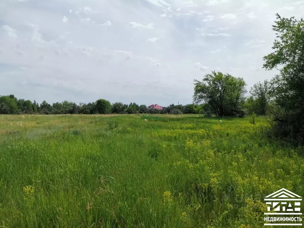 Участок в Оренбургская область, Бузулукский район, Пригородный ... - Фото 1