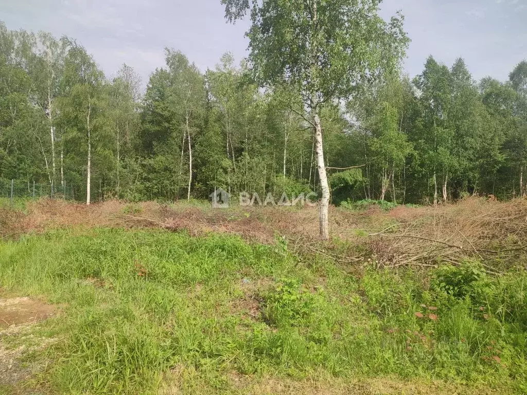 Участок в Московская область, Солнечногорск городской округ, Каравай ... - Фото 0